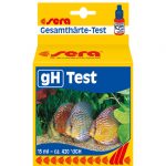 gh-Test